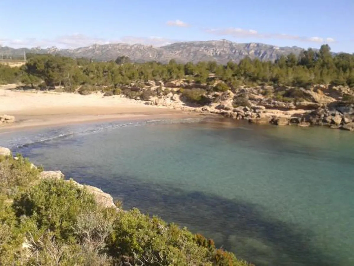 Apartamento Mestre Caballero L'Ametlla de Mar 0*,